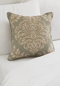 Raphael 20" Square Decorative Throw Pillow