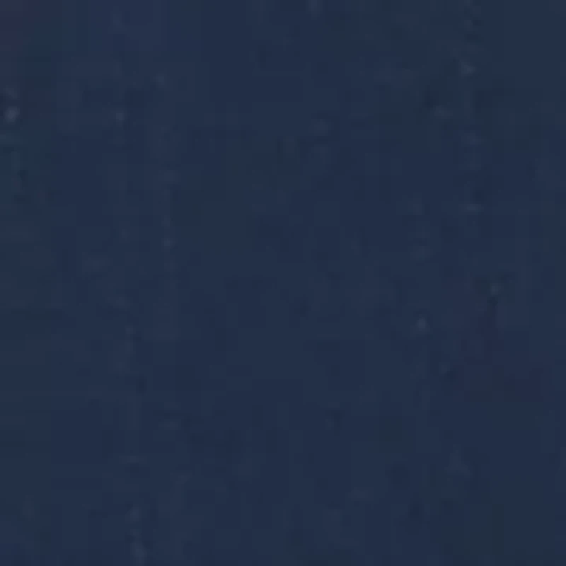 Bernice 18" Square Decorative Throw Pillow