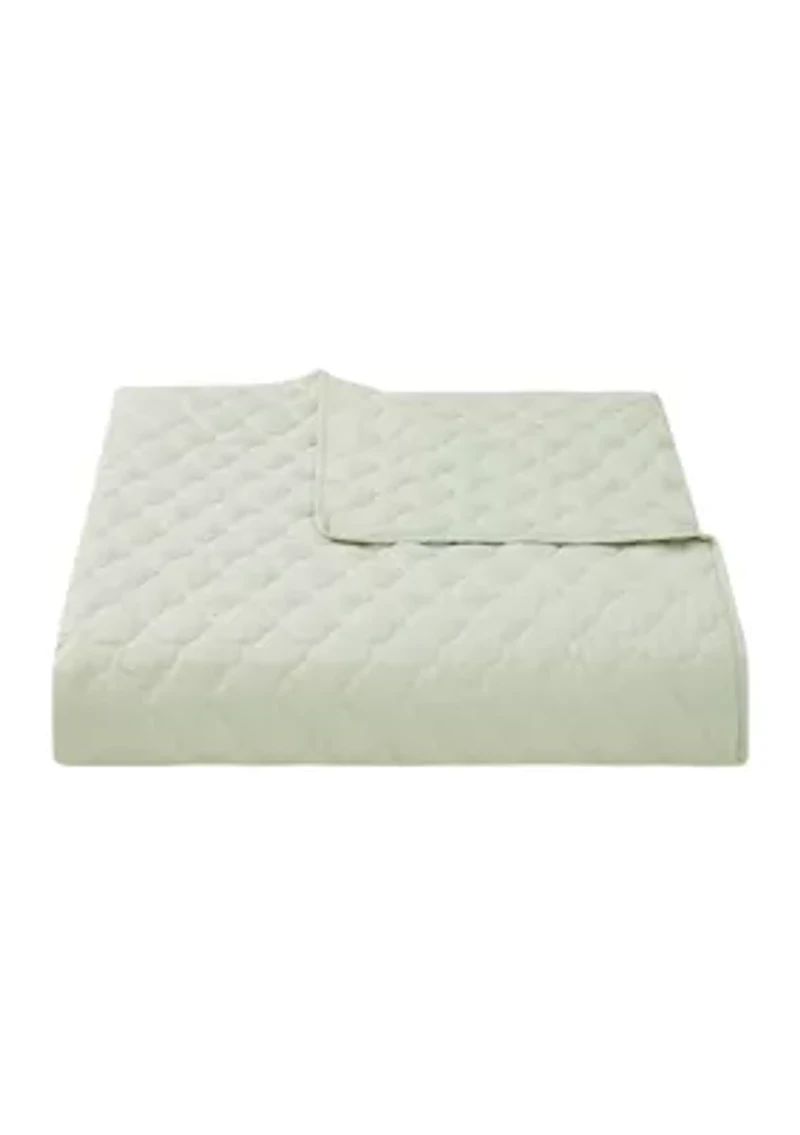 Bird Garden 5 Piece Comforter and Quilt Set