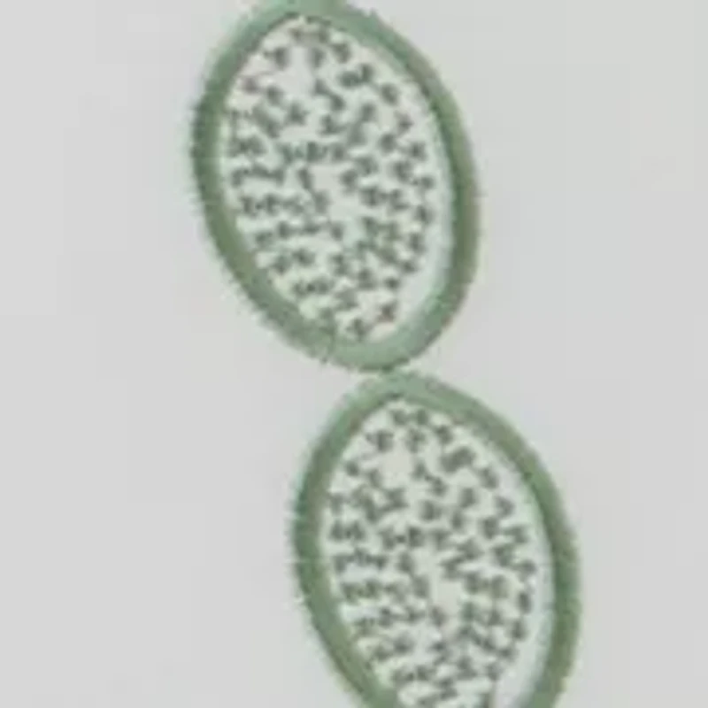 Jocelyn Damask Sarong Decorative Pillow