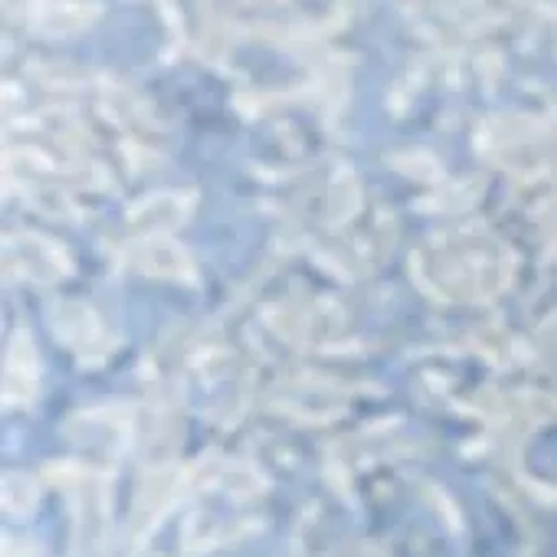 Legacy Scroll Queen Duvet Set