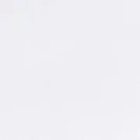 Allergen Barrier Pillow