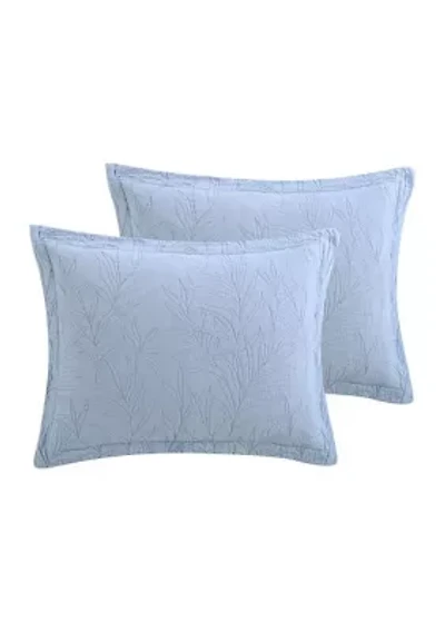 Solid Costa Sera 2-Piece Cotton Shams
