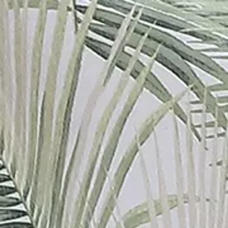 Kauai 5-Piece Botanical Cotton Bonus Comforter Set