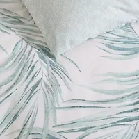 Canyon Palms 100% Cotton Comforter Sham Bonus Set