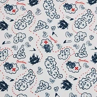 Maxon Map Microfiber Sheet Set
