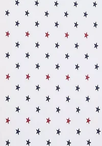 Daystar Cotton Sheet Set