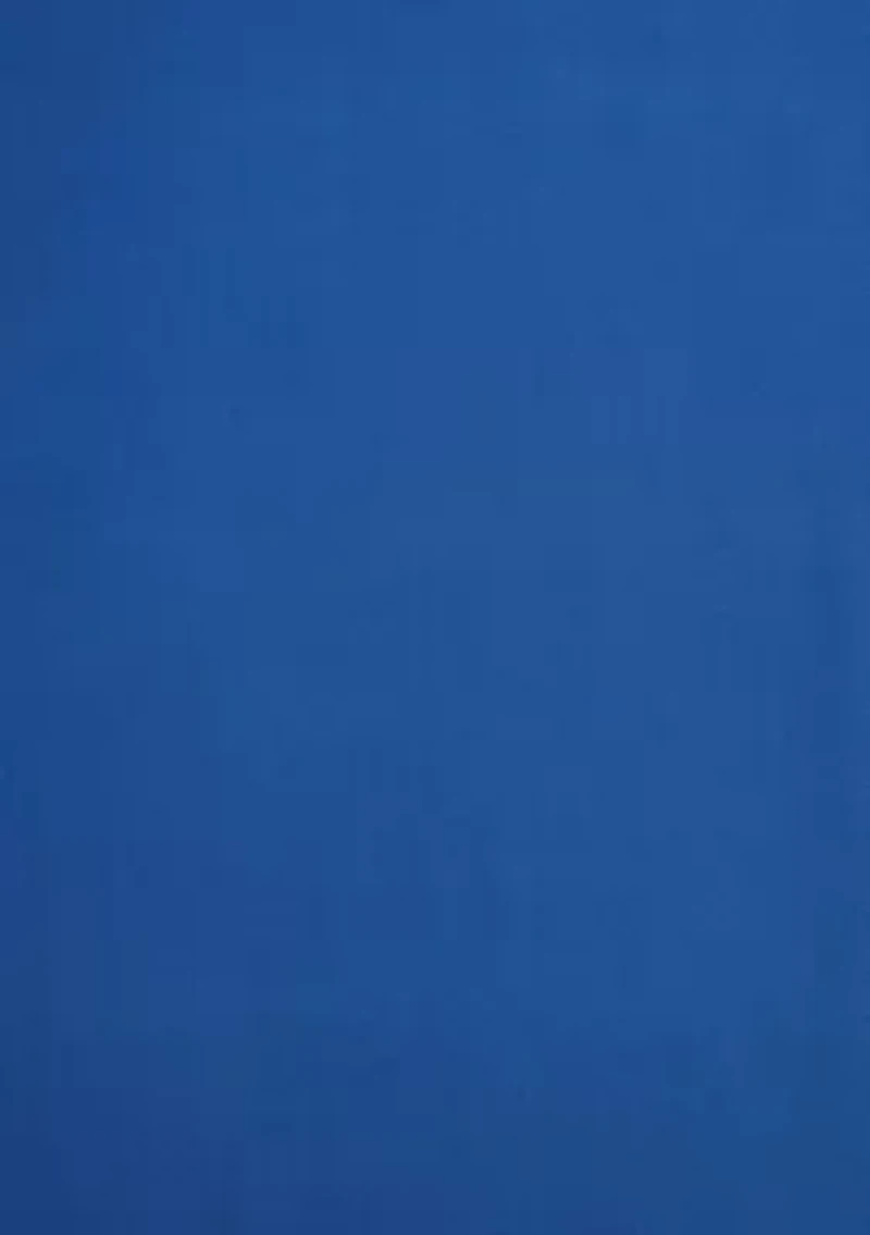 Highland Chill Microfiber Sheet Set