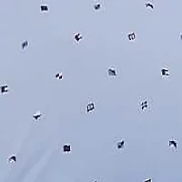 Flag Cotton Sheet Set