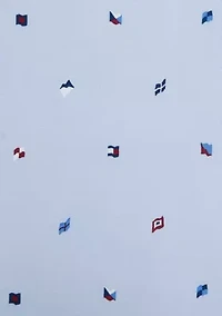 Flag Cotton Sheet Set