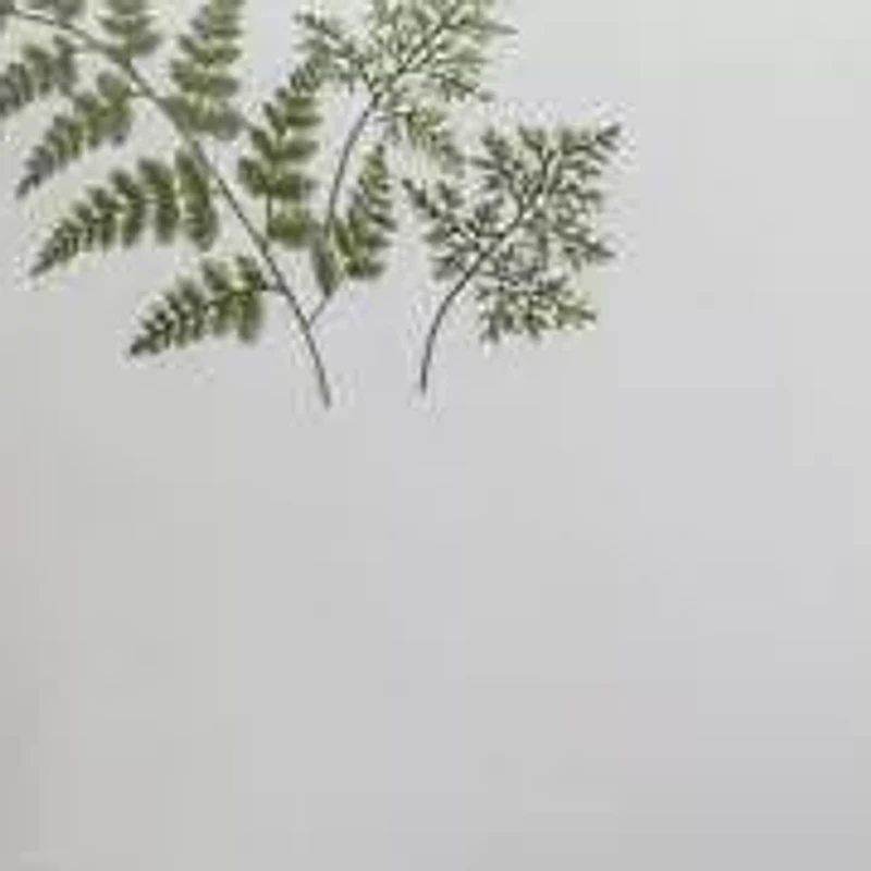 Fern Garden Cotton Duvet Set