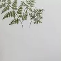 Fern Garden Cotton Duvet Set