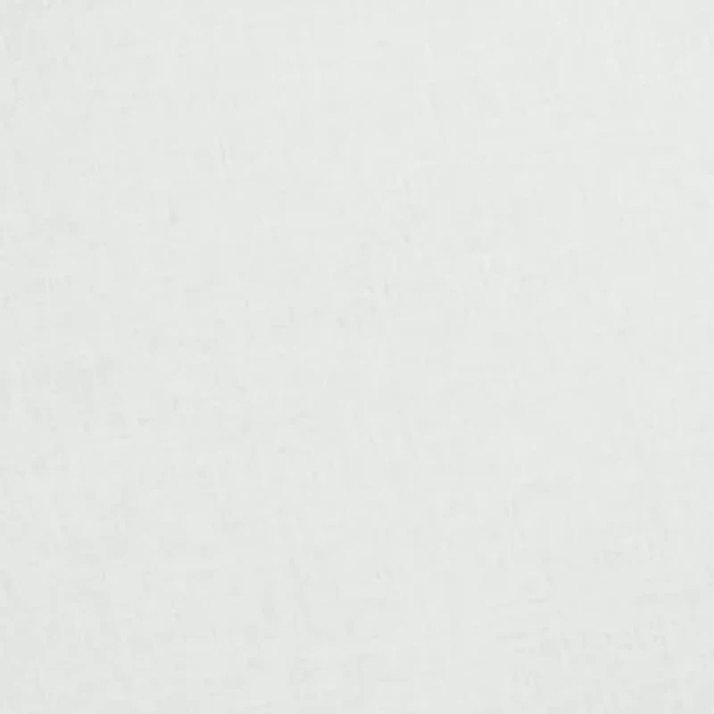 Birds of Paradise Euro Sham 26-in. x 26-in.