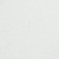 Birds of Paradise Euro Sham 26-in. x 26-in.