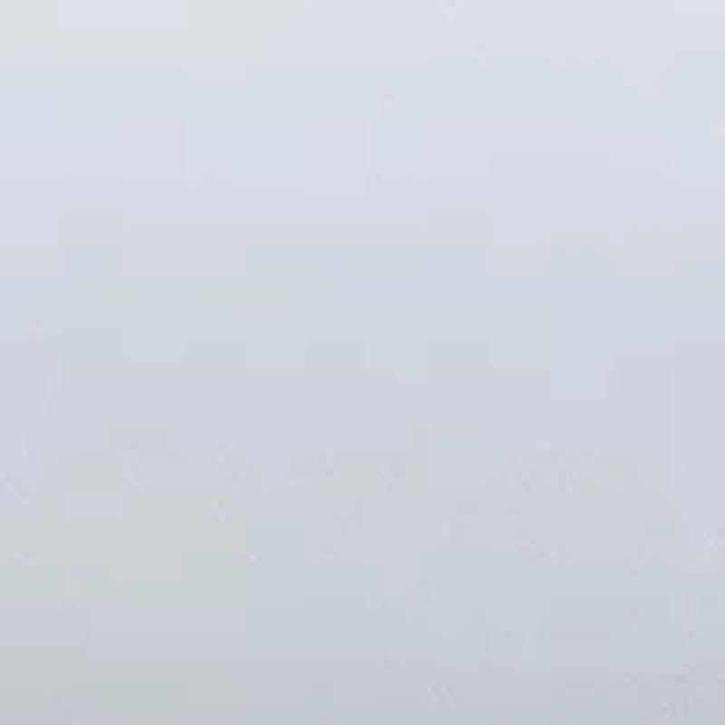 Solid 800-Thread Count 2-Piece Sateen Queen Pillowcase Pair