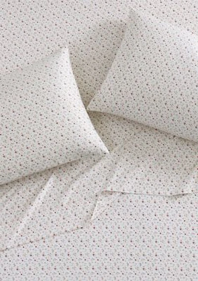 Evie 2-Piece Cotton Standard Pillowcase Pair