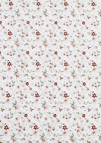 Evie 2-Piece Cotton Standard Pillowcase Pair
