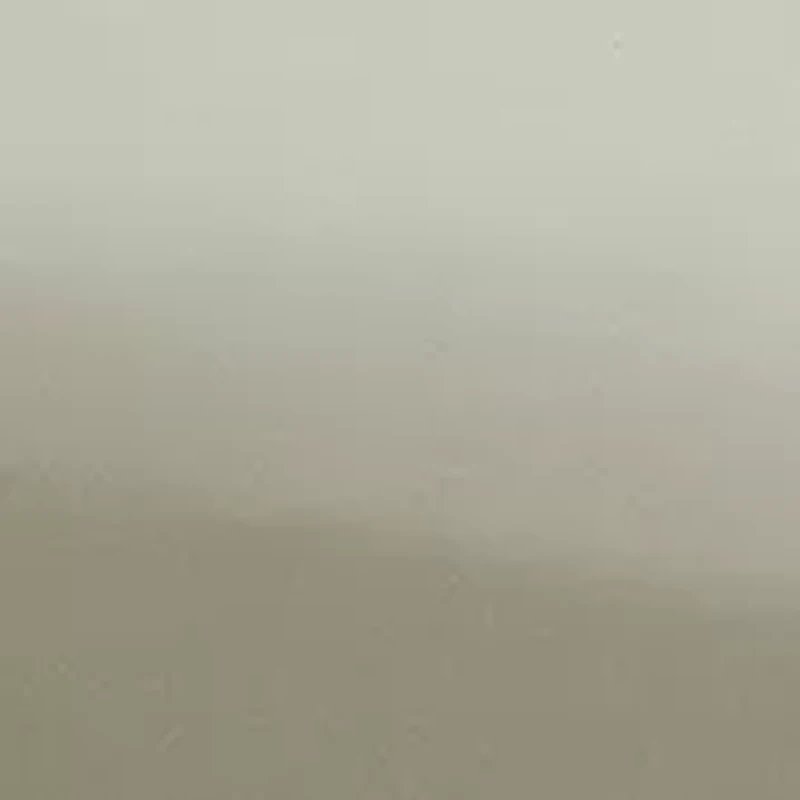 500 Thread Count Cotton Sheet Set