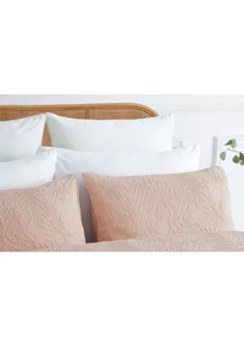 Lori Blush Comforter