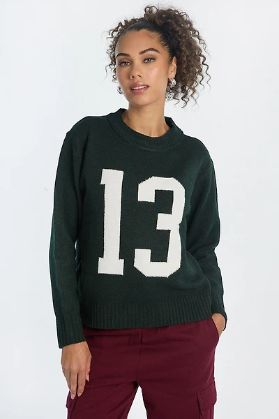 Graphic Flat Knit Crew Neck Sweater