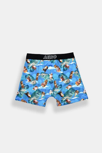 AERO Cats & Ice Cream Printed Boxer Briefs