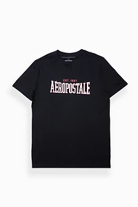 Aéropostale Est. 1987 High Density Graphic Tee