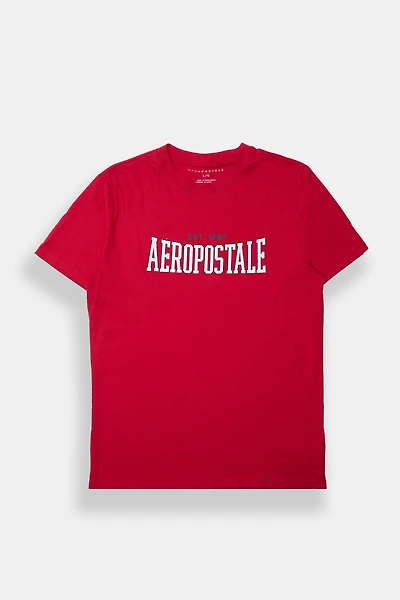 Aéropostale Est. 1987 High Density Graphic Tee