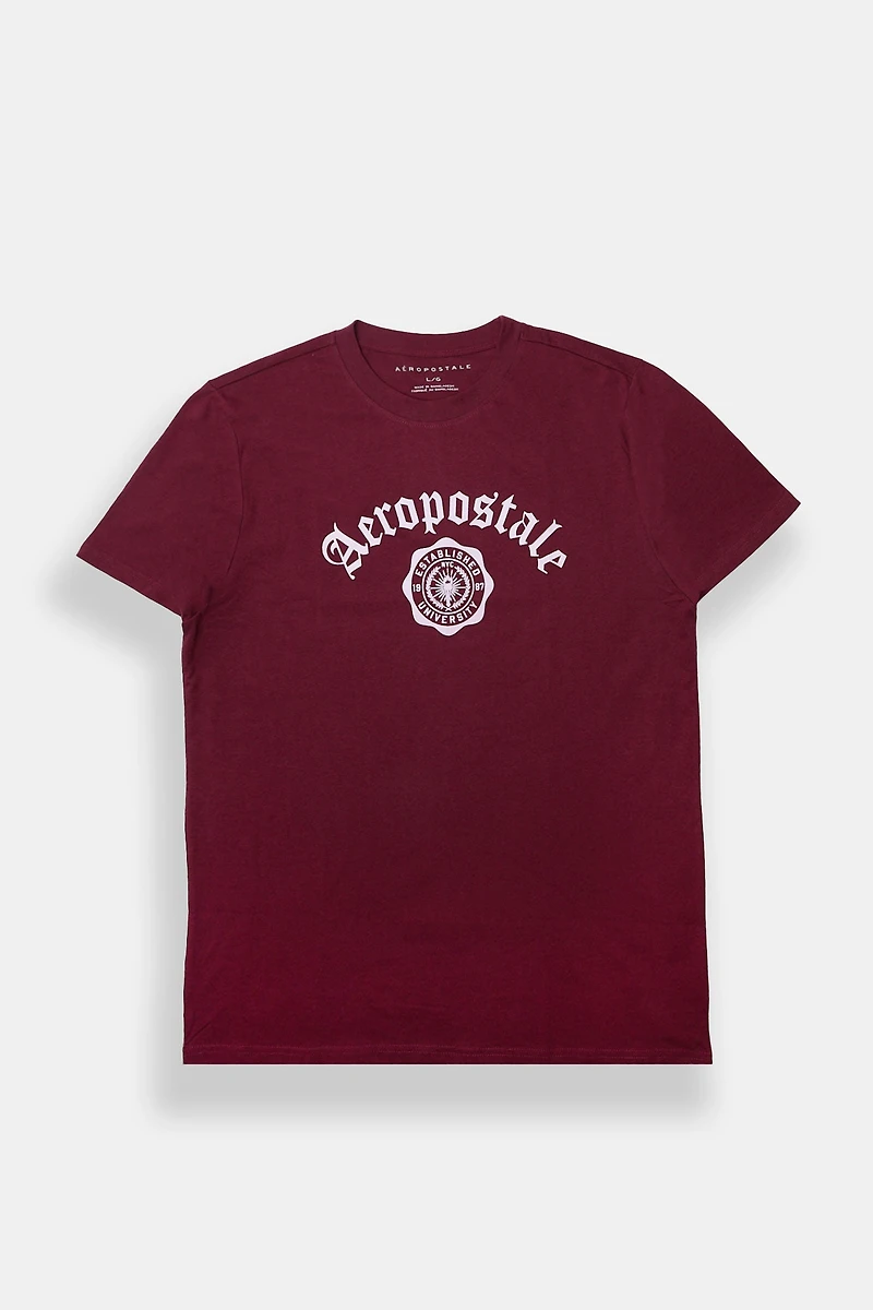 Aéropostale Script Flocked Graphic Tee