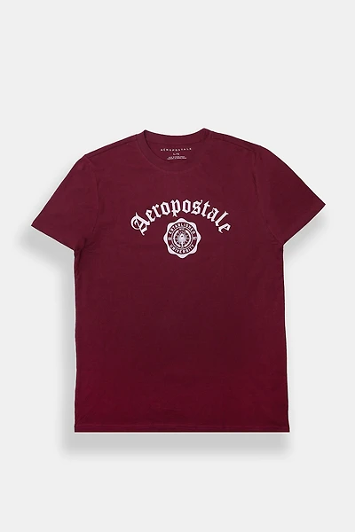 Aéropostale Script Flocked Graphic Tee