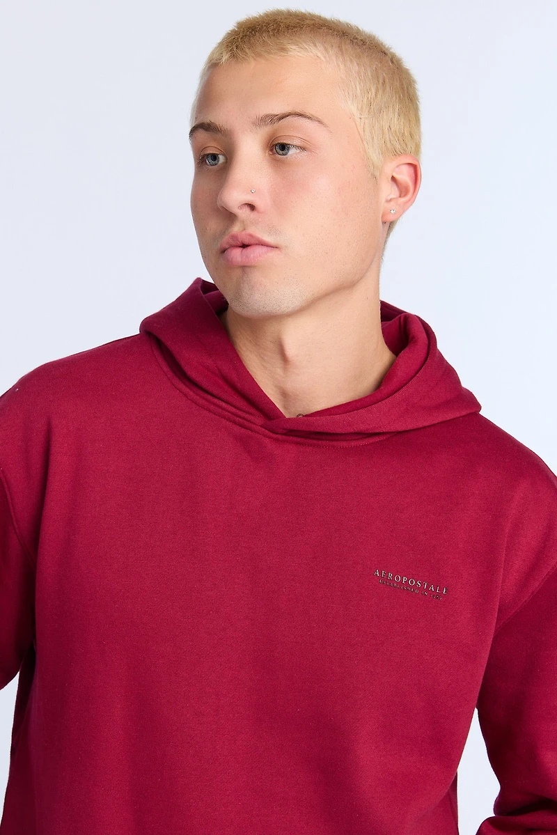 Aéropostale Small Print Hoodie