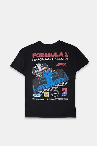 Formula 1 The Pinnacle of Motorsports Graphic Tee