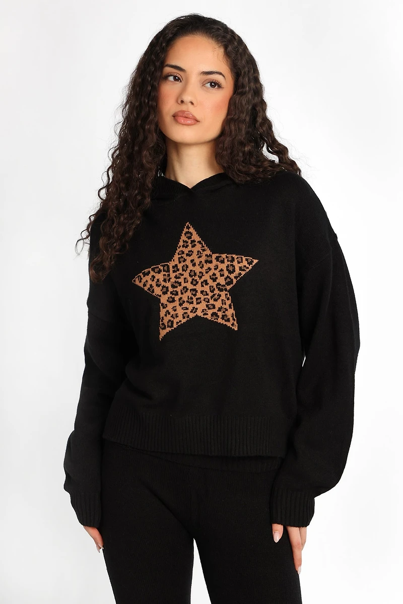 AERO Graphic Pullover Sweater Hoodie