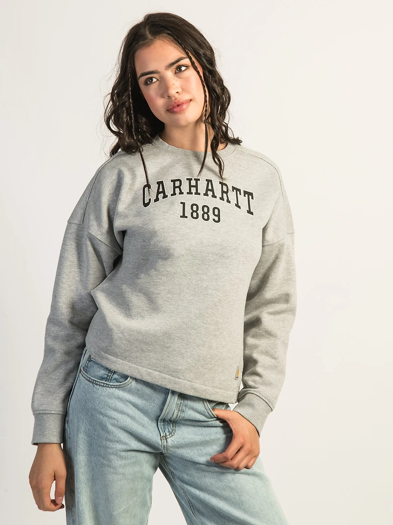 CHANDAIL RAS DU COU COUPE AMPLE, POIDS MOYEN CARHARTT GRAPHIQUE-GRIS C