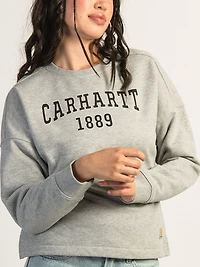 CHANDAIL RAS DU COU COUPE AMPLE, POIDS MOYEN CARHARTT GRAPHIQUE-GRIS C
