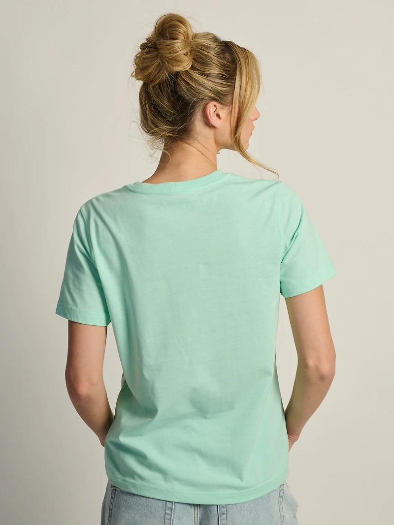 CARHARTT IRVINE RELAXED TEE- MINT