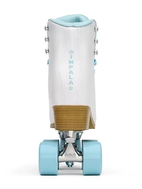 PATINS SIDEWALK – ICE