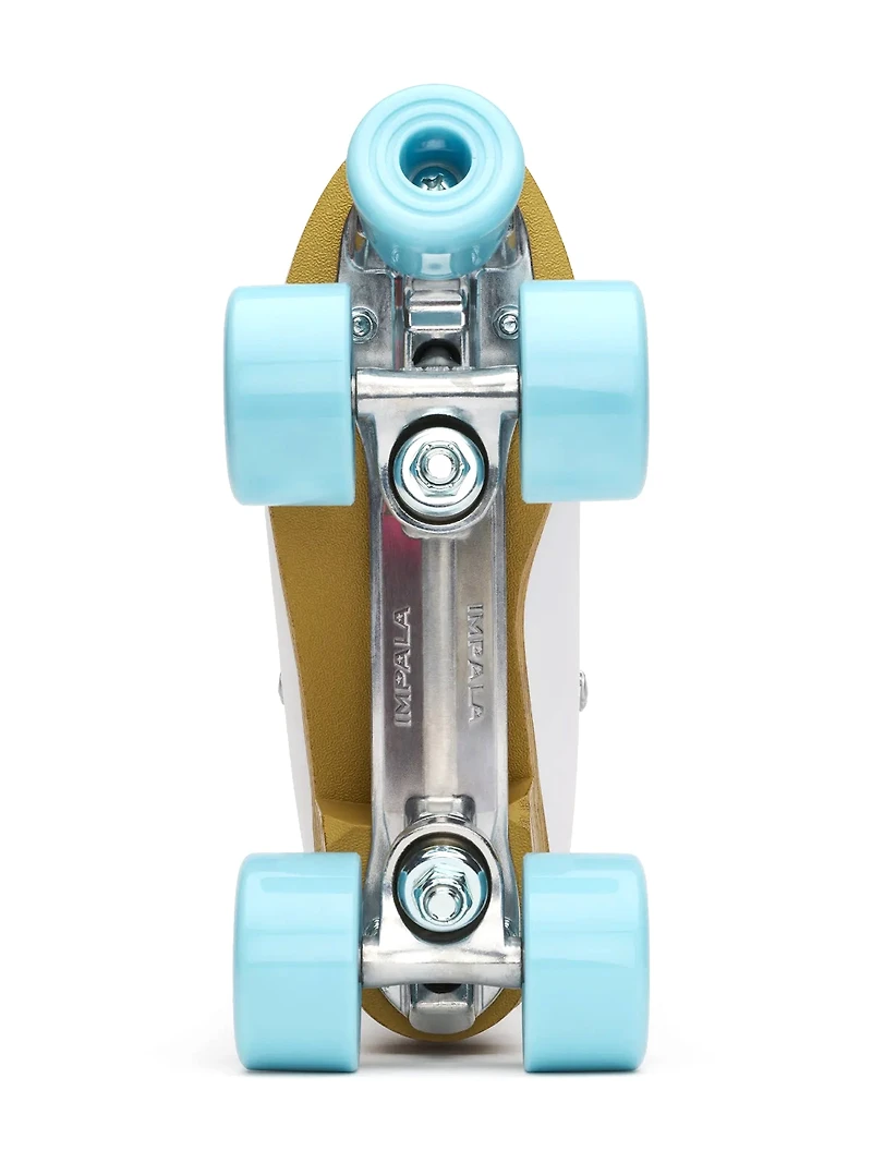 PATINS SIDEWALK – ICE