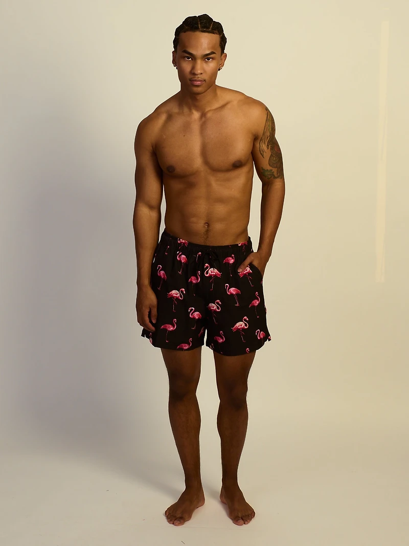 KOLBY FLAMINGO 5in STRETCH SWIM SHORT
