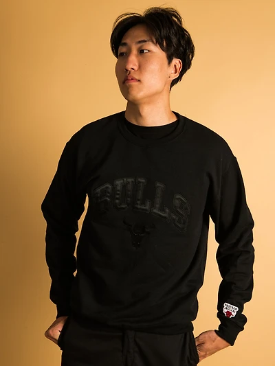 NBA CHICAGO BULLS TONAL EMBROIDERED CREW - CLEARANCE