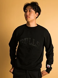 NBA CHICAGO BULLS TONAL EMBROIDERED CREW - CLEARANCE
