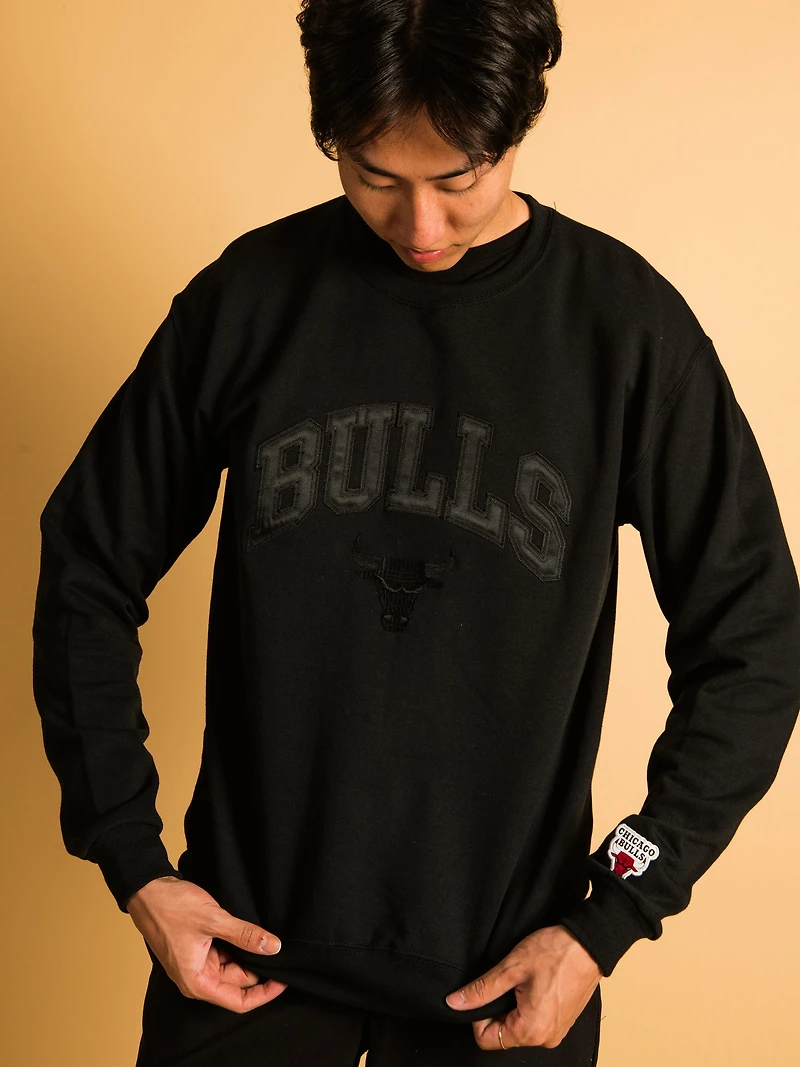 NBA CHICAGO BULLS TONAL EMBROIDERED CREW - CLEARANCE