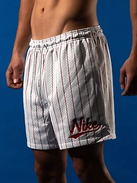 NIKE BASEBALL FLOW SHORT