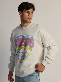 ÉQUIPE DES JAYHAWKS DU KANSAS