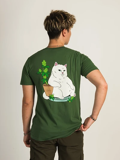 T-SHIRT GARÇON FLEURI RIP N DIP - DÉGAGEMENT