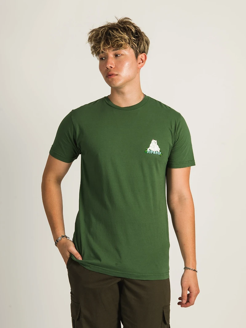 T-SHIRT GARÇON FLEURI RIP N DIP - DÉGAGEMENT