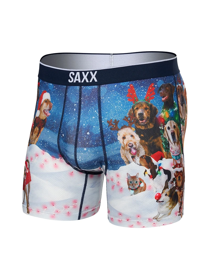 BOXER SAXX VIBE EX - WINTER DOG OF