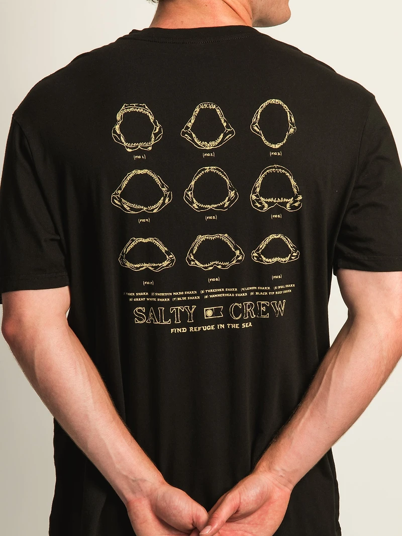 T-SHIRT SALTY CREW JAWBONE CLASSIC