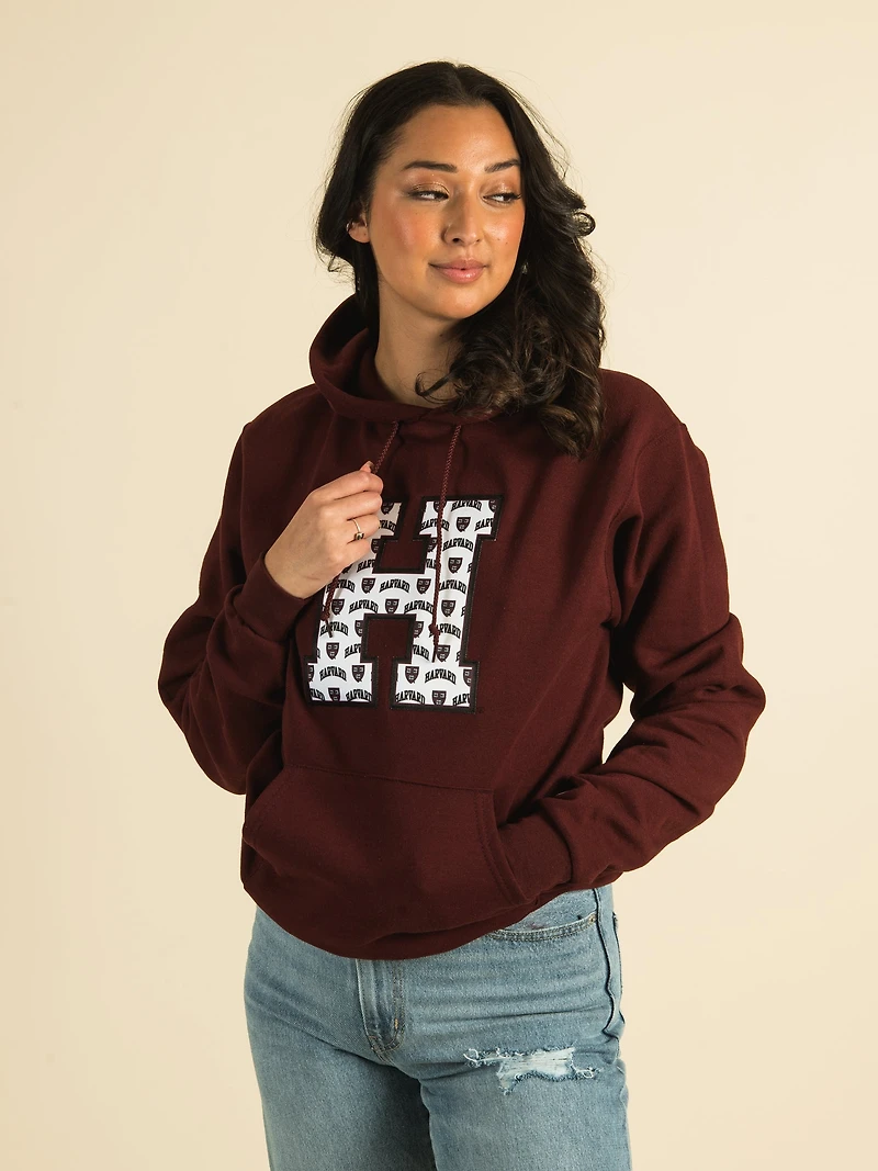 CHAMPION HARVARD ALL OVER PRINT PULLOVER HOODIE - CLEARANCE