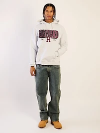 HARVARD PULLOVER HOODIE