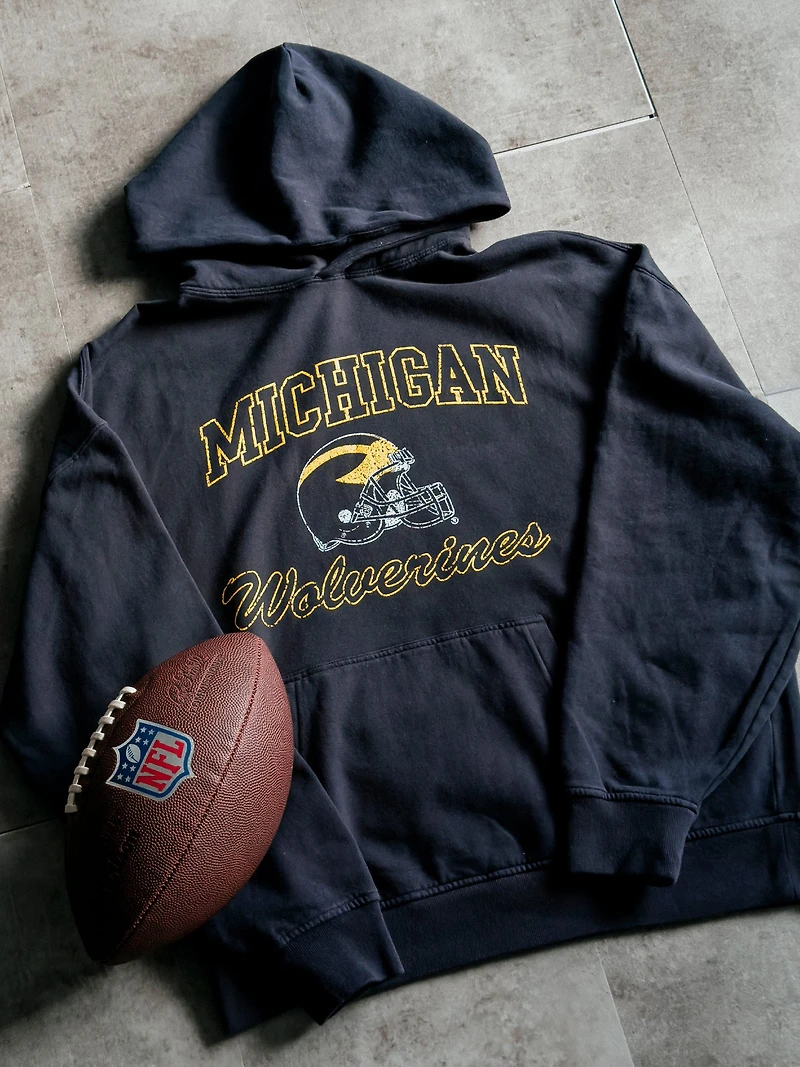 MICHIGAN PULLOVER HOODIE SP